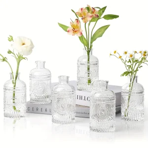 Clear Glass Bud Vases Mini Vintage Set