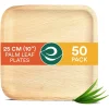 Compostable Biodegradable Palm Leaf Square Plates