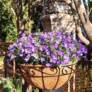 Natural Coconut Hanging Basket Liners 3-Pack