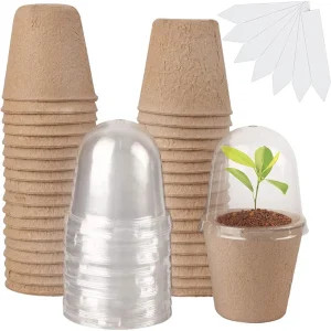 10Pcs Biodegradable Seedling Cups with Transparent Lids for Germination